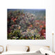 Spider Web With Dew Wall Mural