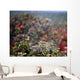 Spider Web With Dew Wall Mural