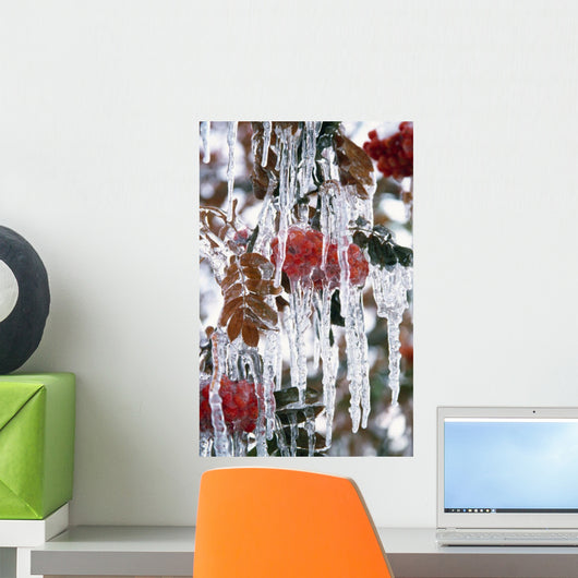 Autumn Leaves Covered In Ice Wall Mural