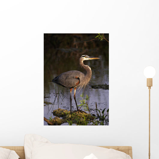 Great Blue Heron Wall Mural