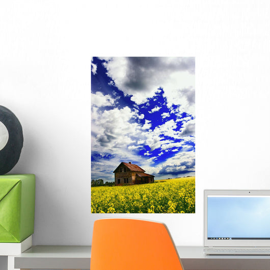 Abandoned Farmhouse In A Canola Field Wall Mural