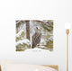 Long Eared Owl Wall Mural