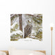 Long Eared Owl Wall Mural