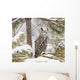 Long Eared Owl Wall Mural