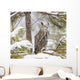 Long Eared Owl Wall Mural
