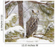 Long Eared Owl Wall Mural
