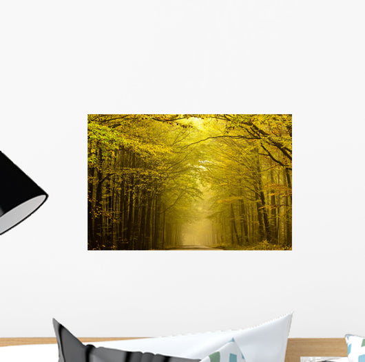 Centered mysterious road in autumn forest. Wall Mural