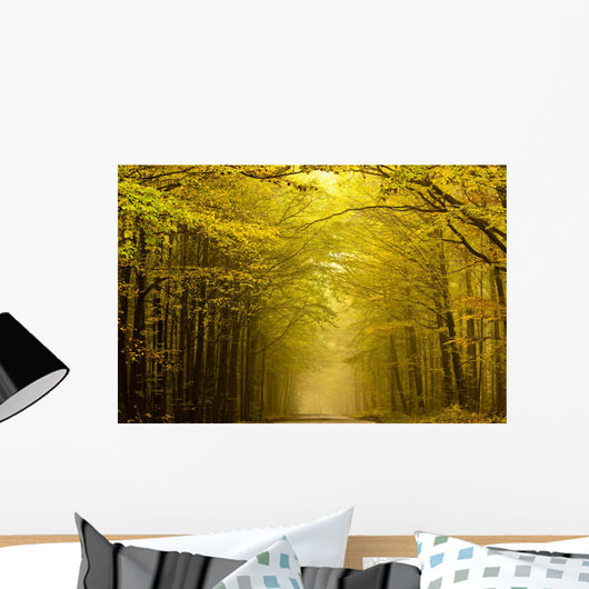 Centered mysterious road in autumn forest. Wall Mural