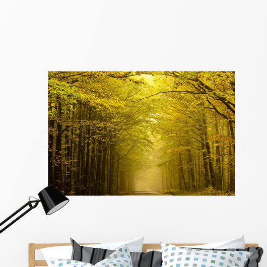 Centered mysterious road in autumn forest. Wall Mural