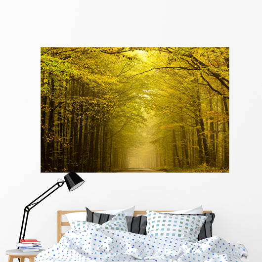 Centered mysterious road in autumn forest. Wall Mural