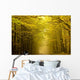 Centered mysterious road in autumn forest. Wall Mural