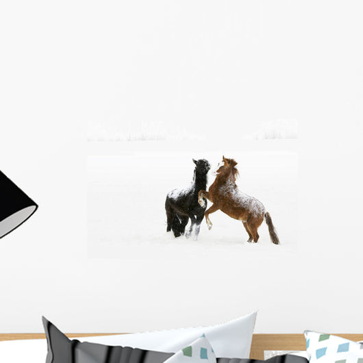 Horses Prancing In The Snow Wall Mural