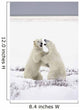 Polar Bears Fighting Wall Mural