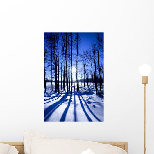 Elk Island National Park, Alberta, Canada Wall Mural