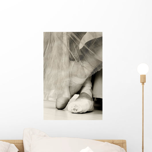 Ballet Shoes