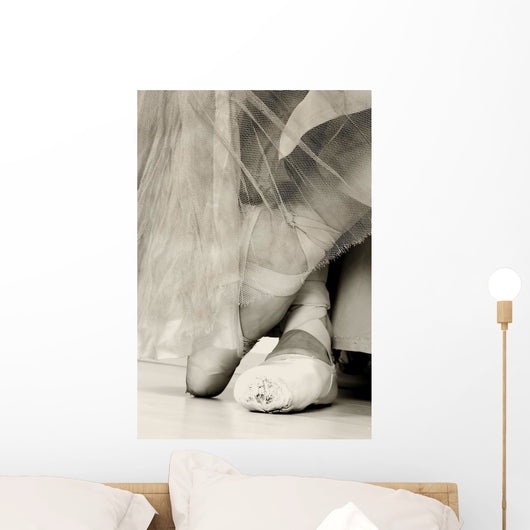Ballet Shoes