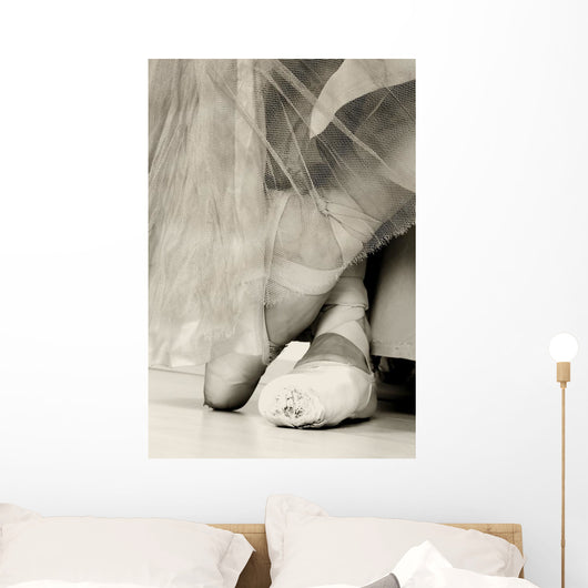 Ballet Shoes