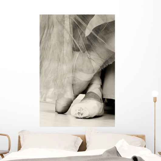 Ballet Shoes