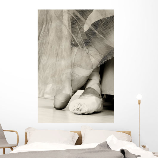 Ballet Shoes