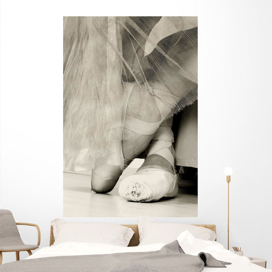 Ballet Shoes
