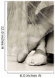 Ballet Shoes
