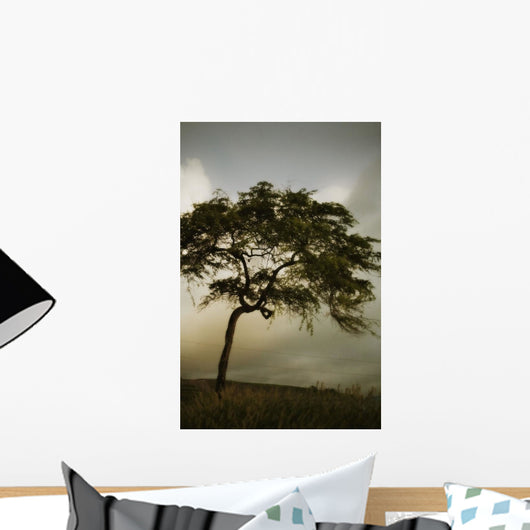 Tree And Stormy Sky Wall Mural