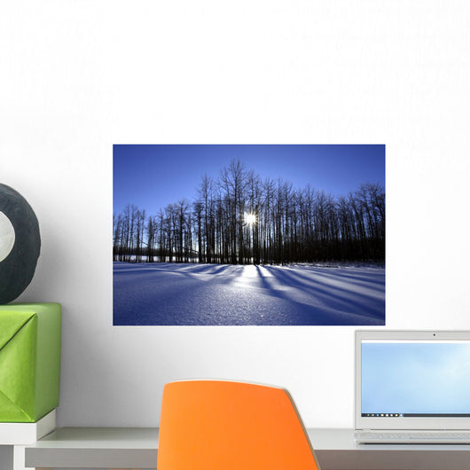 Winter Scene, Saint Bernard Pass, Swiss Alps, Switzerland Wall Mural