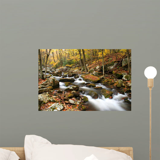 Stream Wall Mural