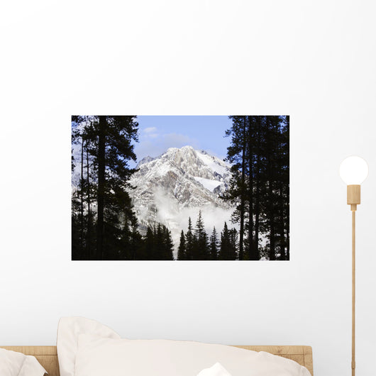 Cascade Mountains In Banff National Park, Alberta, Canada Wall Mural
