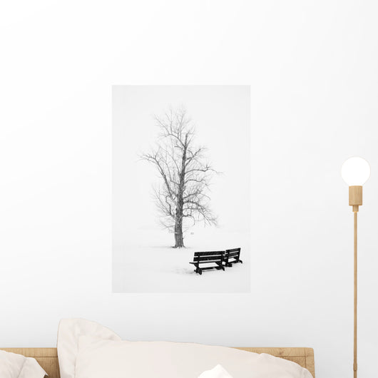Public Park In Winter Wall Decal