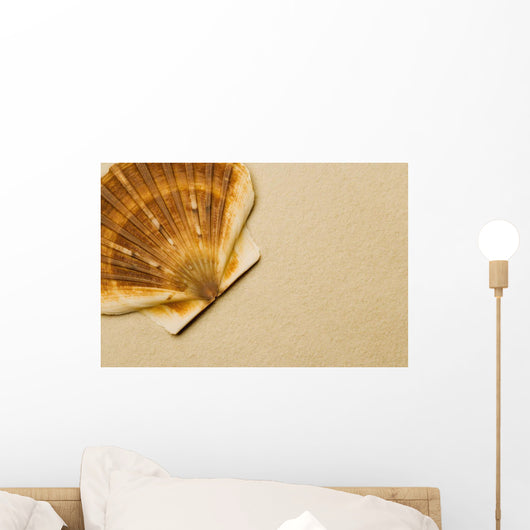 Seashell Wall Mural