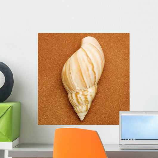 Seashell Wall Mural