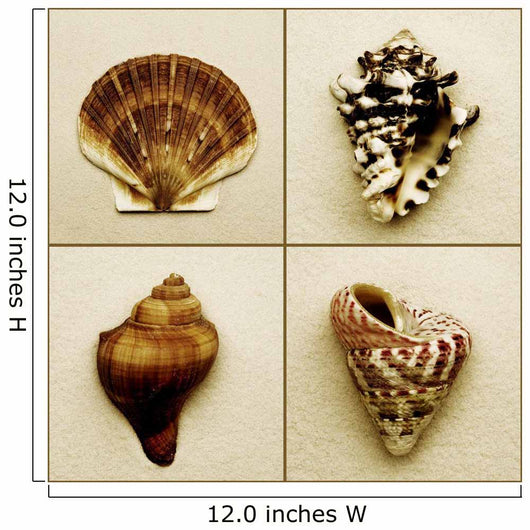 Seashell Composite Wall Mural