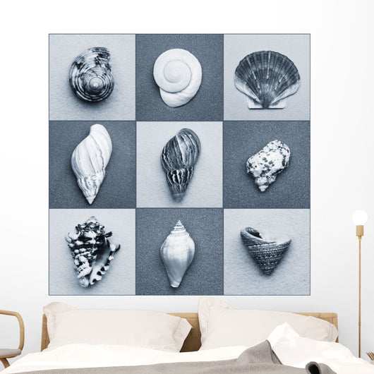 Seashell Composite Wall Mural