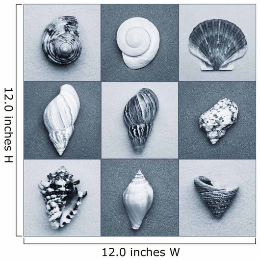 Seashell Composite Wall Mural