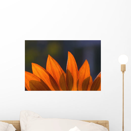Sunflower Close-Up Wall Mural