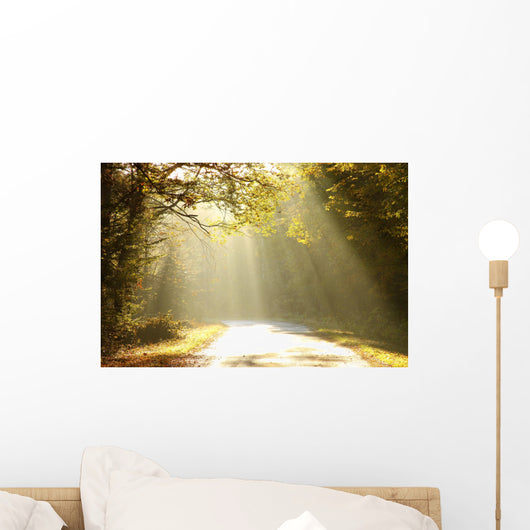Autumn Scenery of the Forest Road Wall Mural