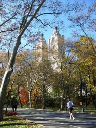 Central Park Jogging Wall Decal