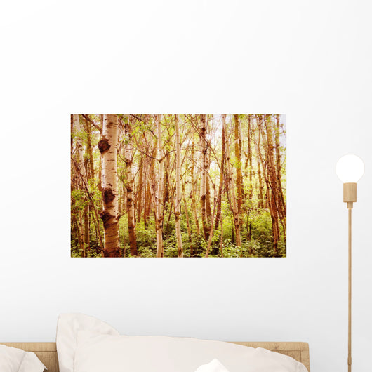 Tree Trunks Wall Mural