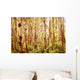 Tree Trunks Wall Mural