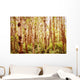 Tree Trunks Wall Mural