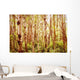 Tree Trunks Wall Mural
