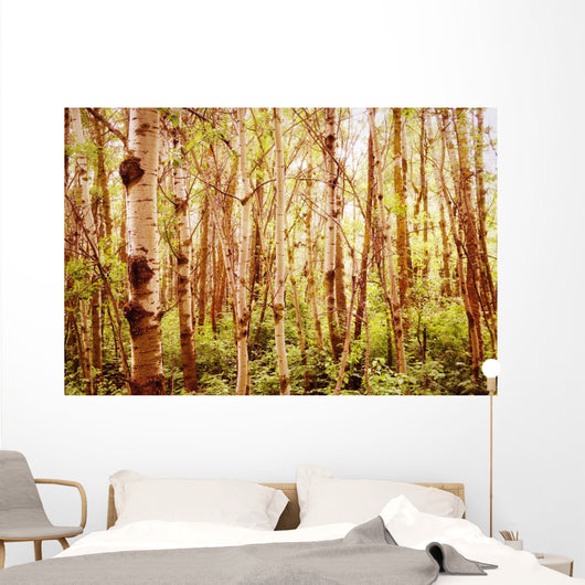 Tree Trunks Wall Mural