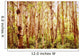 Tree Trunks Wall Mural