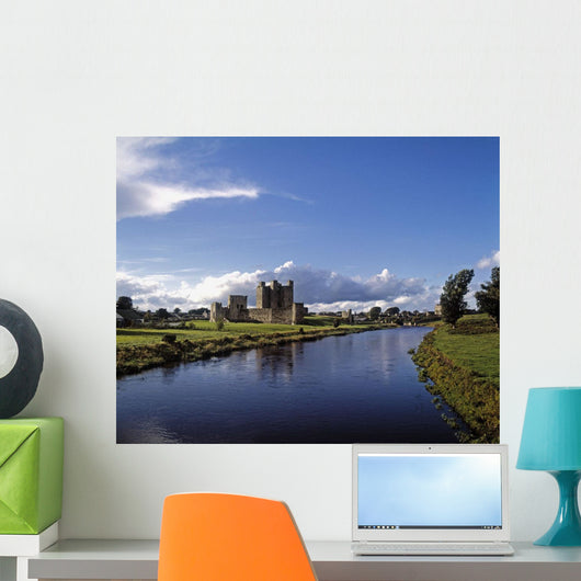 Trim Castle On The River Boyne, County Meath, Republic Of Ireland Wall Mural