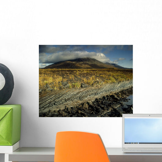 Marsh On The Landscape, Connemara, County Galway, Republic Of Ireland Wall Mural