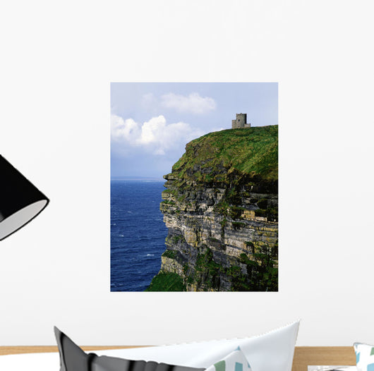 Republic Of Ireland Wall Mural