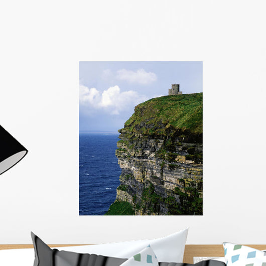 Republic Of Ireland Wall Mural