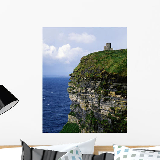 Republic Of Ireland Wall Mural