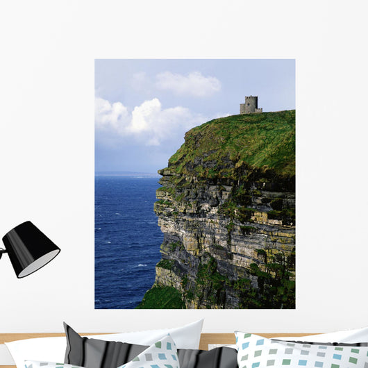 Republic Of Ireland Wall Mural